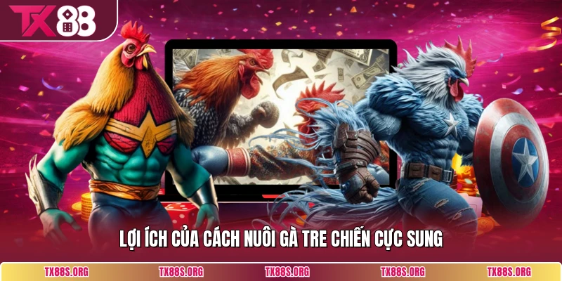 Lợi ích của cách nuôi gà tre chiến cực sung