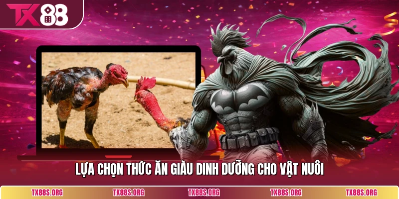 Lựa chọn thức ăn giàu dinh dưỡng cho vật nuôi