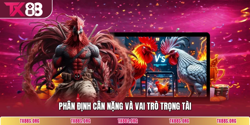 Phân định cân nặng và vai trò trọng tài